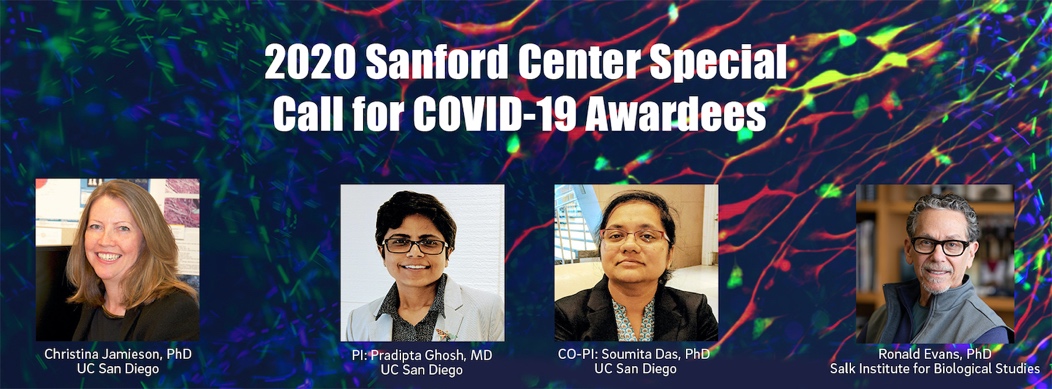COVID-CALLV3