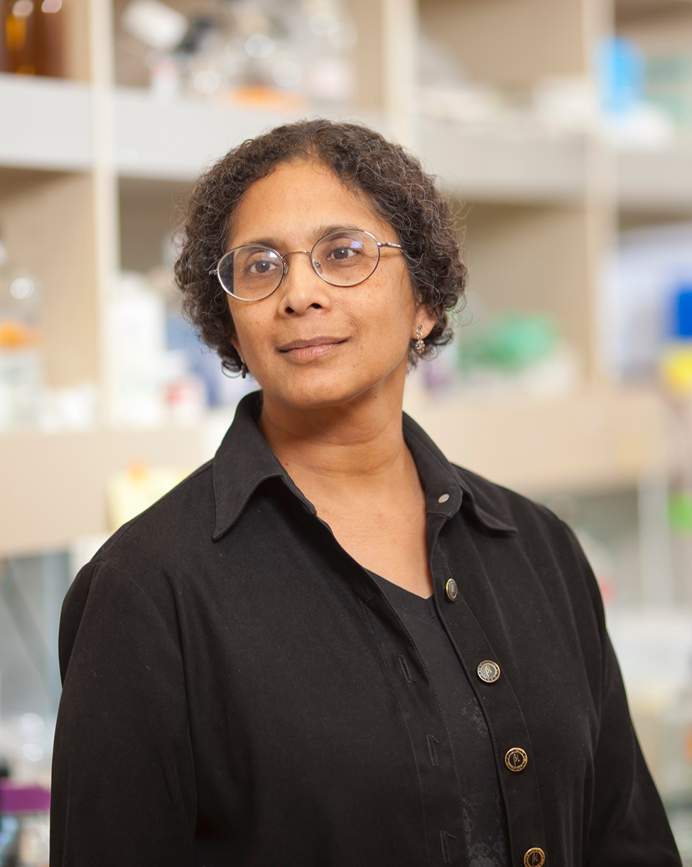 Anjana Rao, PhD 